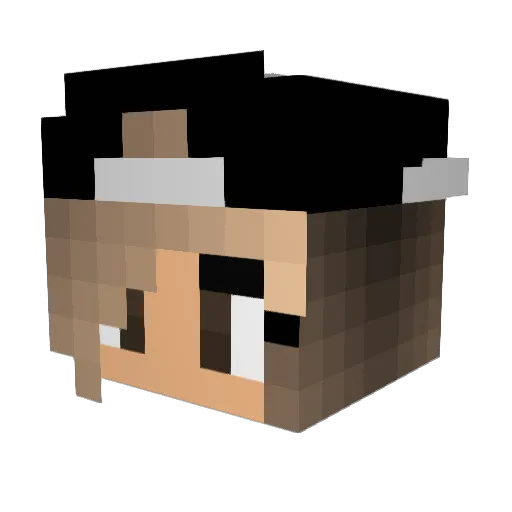 Tam_X Minecraft avatar head, 3D render