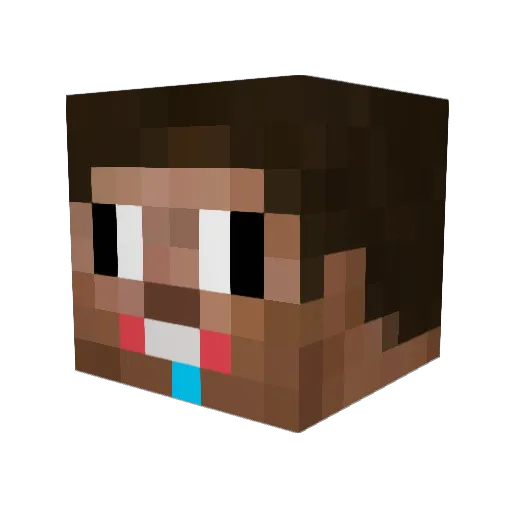 Tam_ji Minecraft avatar head, 3D render