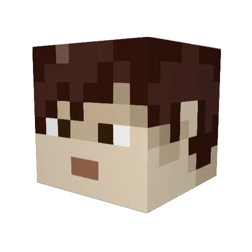 TamaFusion Minecraft avatar head, 3D render