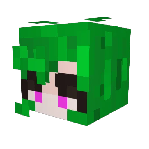 Tamachi_exe Minecraft avatar head, 3D render