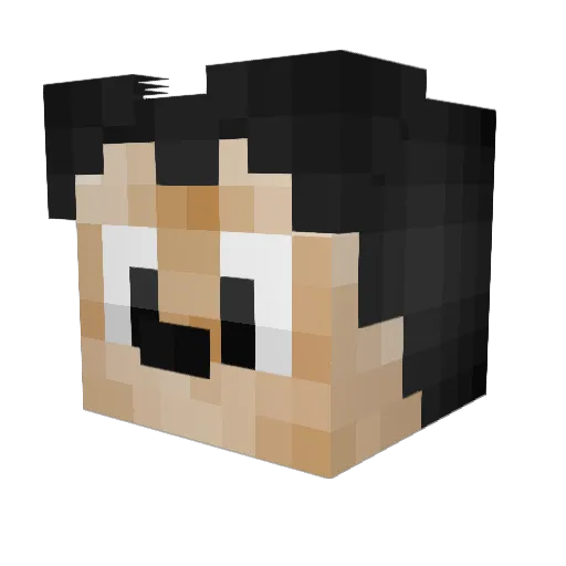 Tamagon1212 Minecraft avatar head, 3D render
