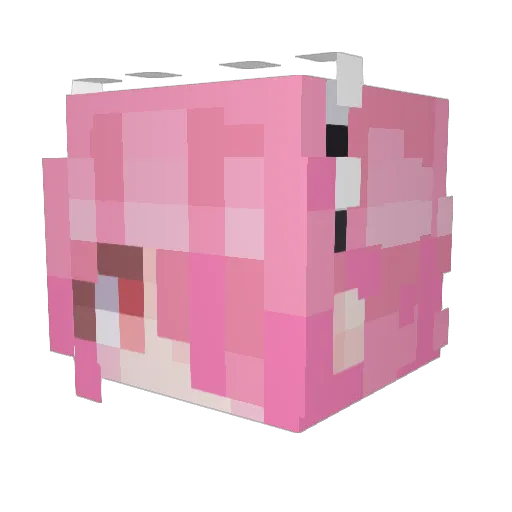 Tamako_sama Minecraft avatar head, 3D render