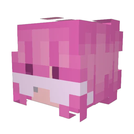 TamalDeFrijol Minecraft avatar head, 3D render
