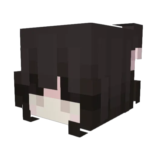Tamamo123 Minecraft avatar head, 3D render