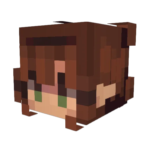 Tamar600 Minecraft avatar head, 3D render