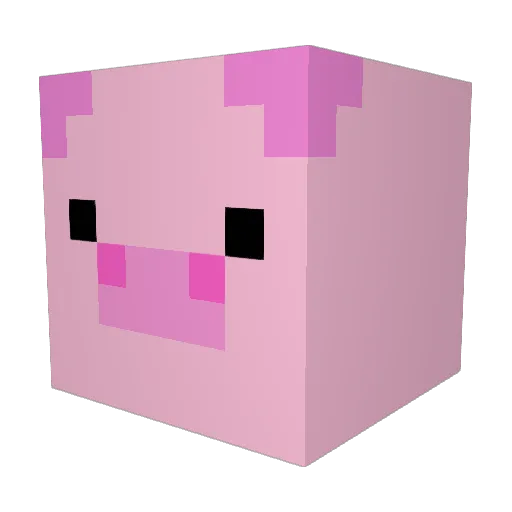 TamarL2020 Minecraft avatar head, 3D render