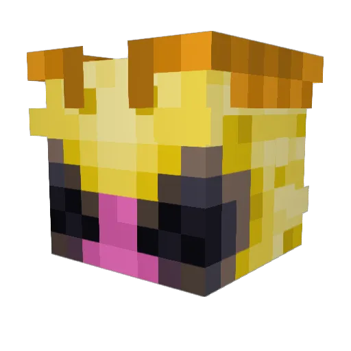 TamarackHollow Minecraft avatar head, 3D render