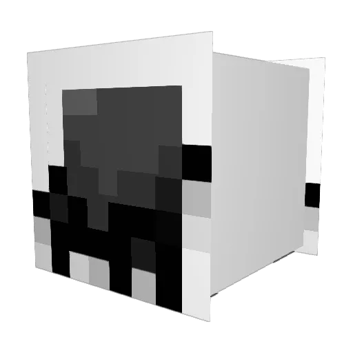 Tamaterkun Minecraft avatar head, 3D render