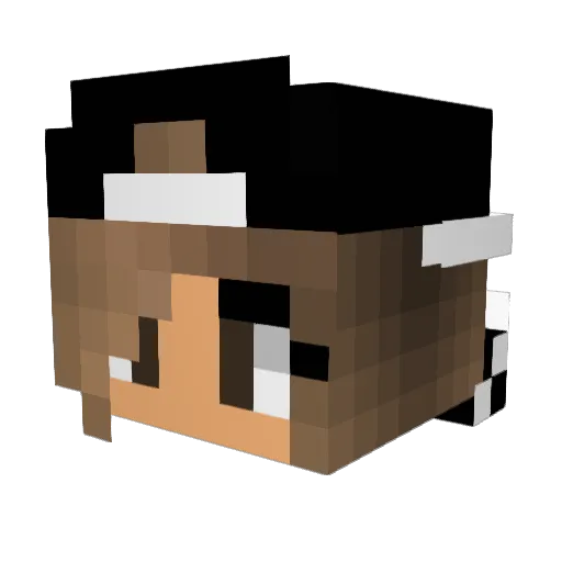 Tamcsika2005 Minecraft avatar head, 3D render
