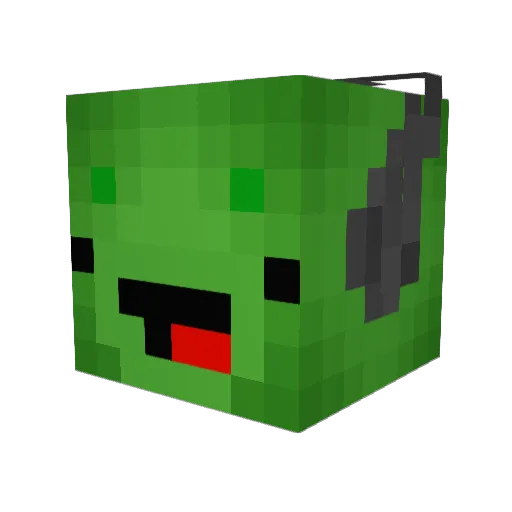 TameChameleon5 Minecraft avatar head, 3D render