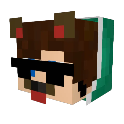 Tameador Minecraft avatar head, 3D render