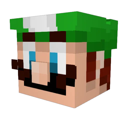 Tameemplayz Minecraft avatar head, 3D render