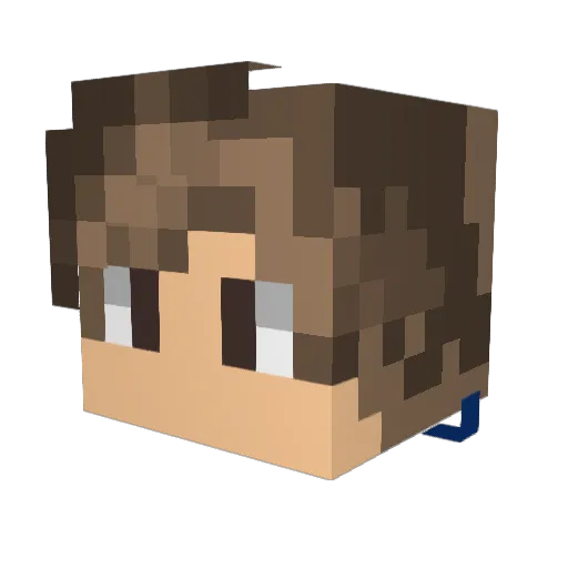 Tamer_ER Minecraft avatar head, 3D render