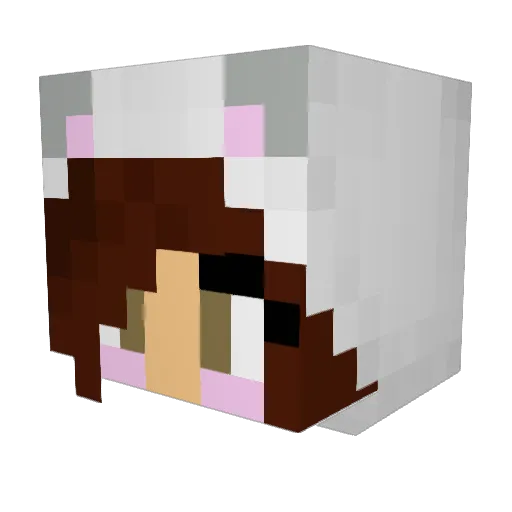 Tamera02 Minecraft avatar head, 3D render