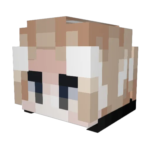 Tamez_ Minecraft avatar head, 3D render
