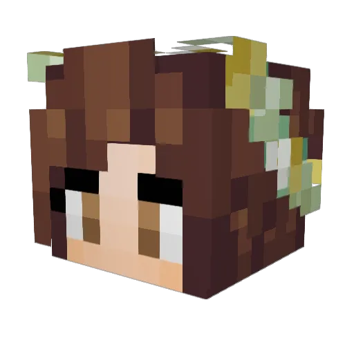Tamiau Minecraft avatar head, 3D render