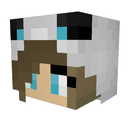 TamingTheWolves Minecraft avatar head, 3D render