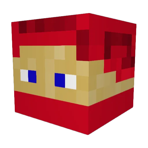 Tamino6 Minecraft avatar head, 3D render