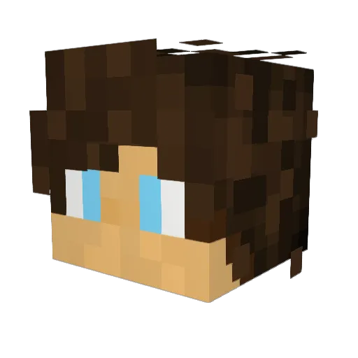 Tamir111111 Minecraft avatar head, 3D render