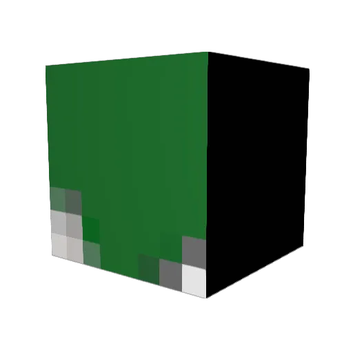 Tamisek55 Minecraft avatar head, 3D render
