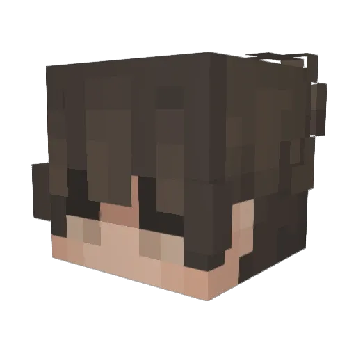 Tamizan2010 Minecraft avatar head, 3D render