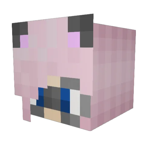 Tammithix Minecraft avatar head, 3D render