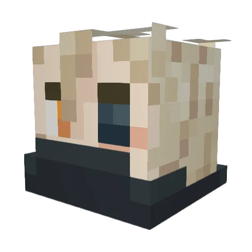 Tammrock Minecraft avatar head, 3D render