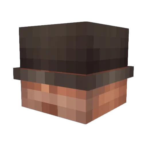 Tampabay469 Minecraft avatar head, 3D render