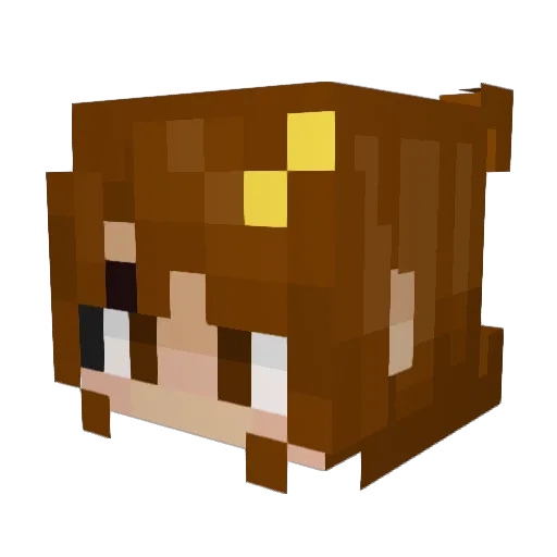 TamperedTess Minecraft avatar head, 3D render
