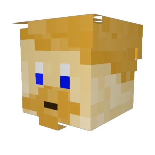 TampicoRey Minecraft avatar head, 3D render