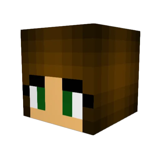 Tamsinius Minecraft avatar head, 3D render
