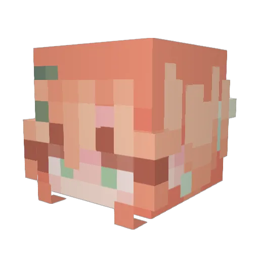 TamyMau Minecraft avatar head, 3D render
