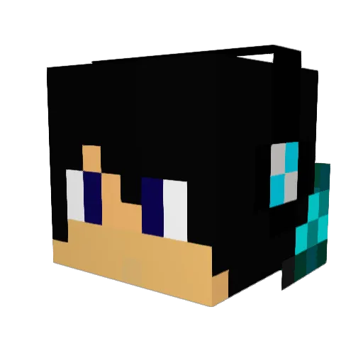 TanMan873 Minecraft avatar head, 3D render