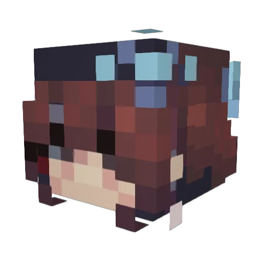 Tana9186 Minecraft avatar head, 3D render