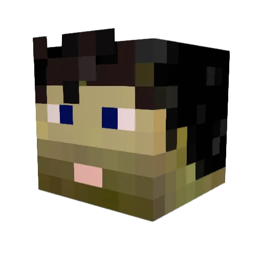 TanaB0 Minecraft avatar head, 3D render