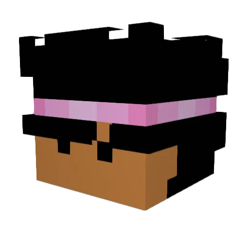 Tanchester Minecraft avatar head, 3D render