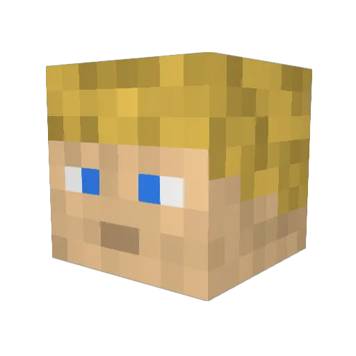 TandB_Inc Minecraft avatar head, 3D render