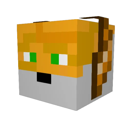 Tandrex Minecraft avatar head, 3D render