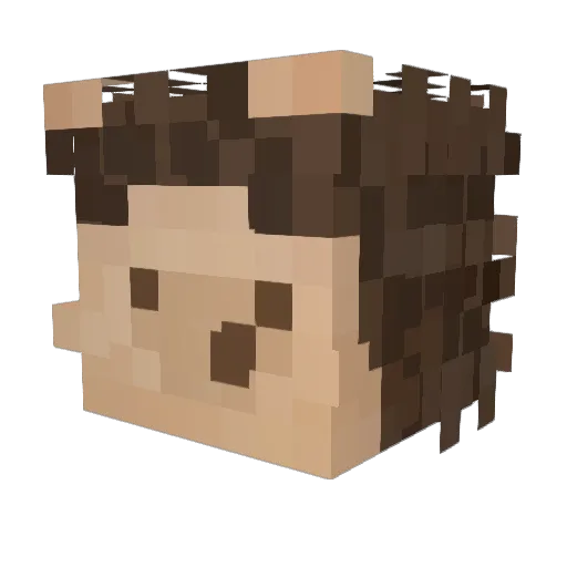 Tang9U Minecraft avatar head, 3D render