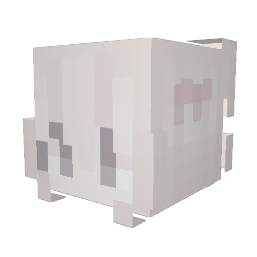 TangCheng1202 Minecraft avatar head, 3D render