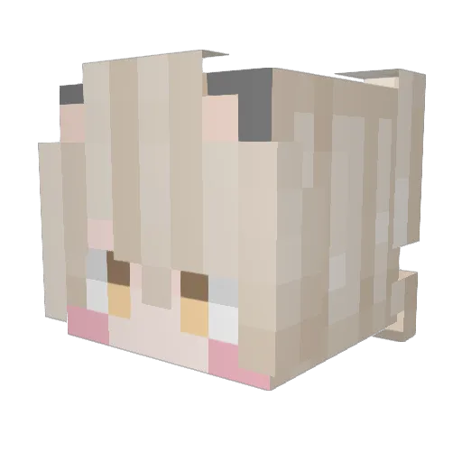 TangMeow Minecraft avatar head, 3D render