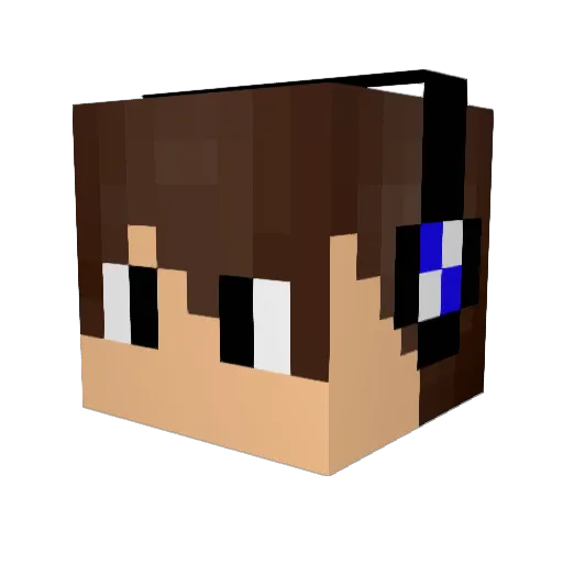 TangReborn Minecraft avatar head, 3D render