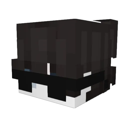TangentCart8126 Minecraft avatar head, 3D render
