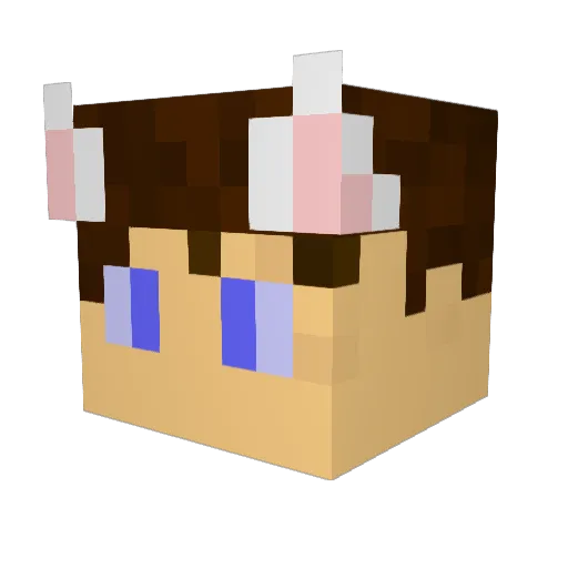 Tangentdi Minecraft avatar head, 3D render