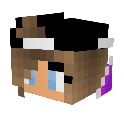 Tangerine332020 Minecraft avatar head, 3D render