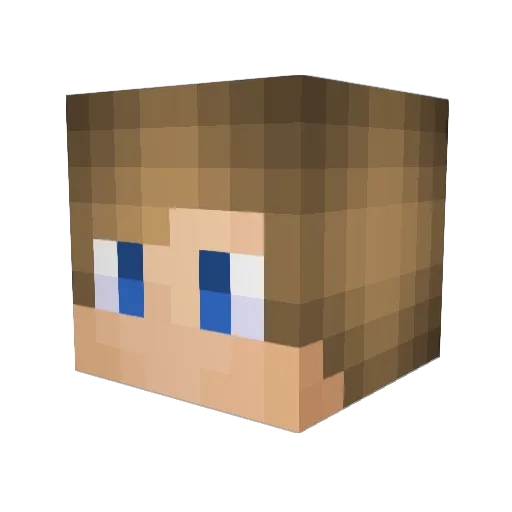 Tangerine6161 Minecraft avatar head, 3D render