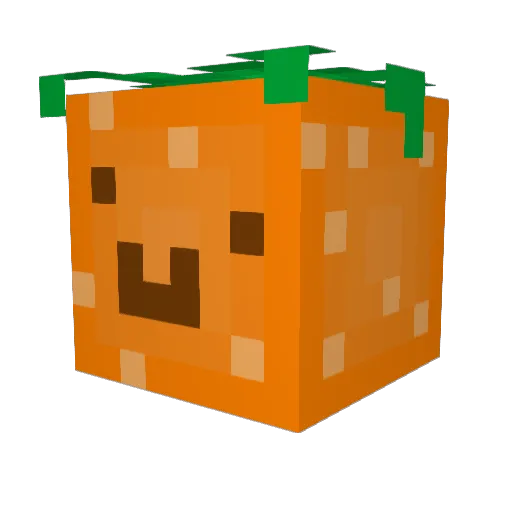 Tangerines12321 Minecraft avatar head, 3D render