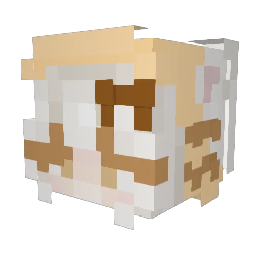 Tangiezz Minecraft avatar head, 3D render