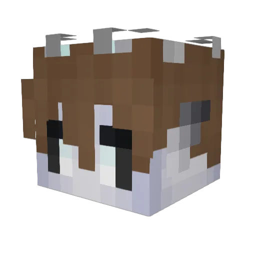 Tangle15 Minecraft avatar head, 3D render