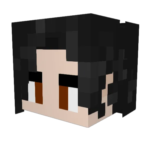 Tangledpain Minecraft avatar head, 3D render